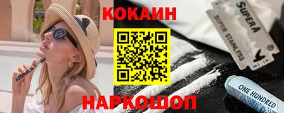 кокс Гатчина