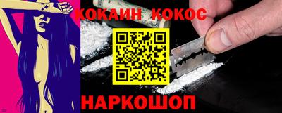кокс Гатчина