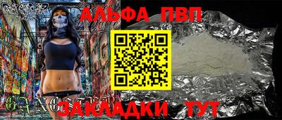 кокс Гатчина