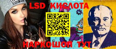 кокс Гатчина