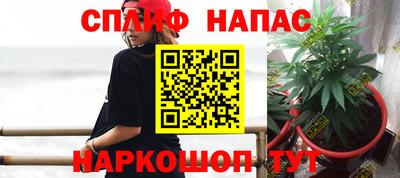 прущие грибы Гай