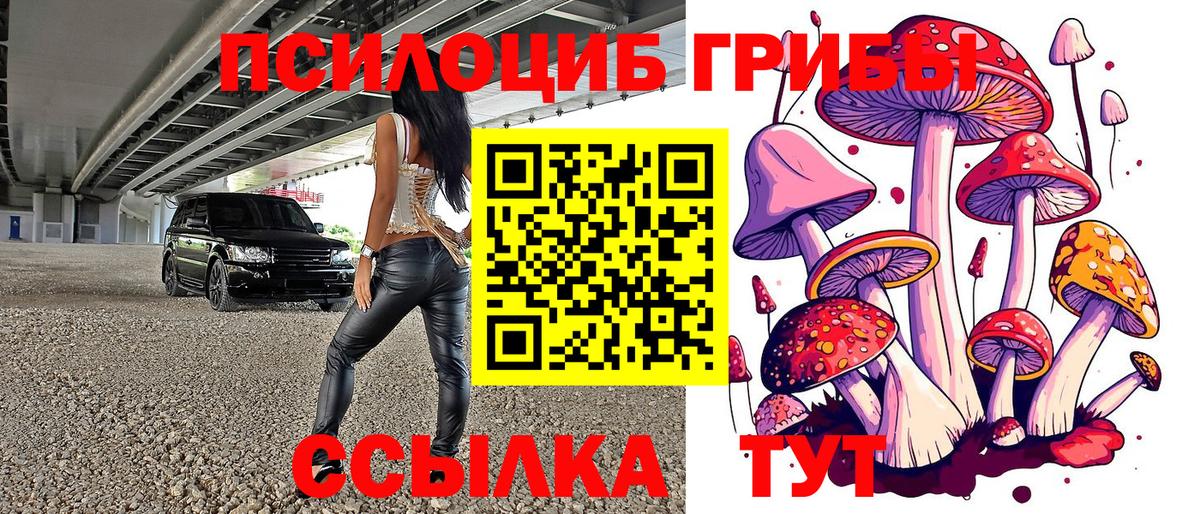 Псилоцибиновые грибы Magic Shrooms  Вход с VPN  Псилоцибиновые грибы ЛСД  Бугуруслан 